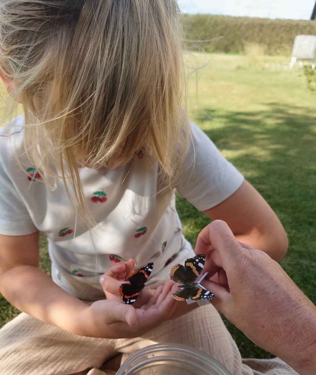 Sommerfugle